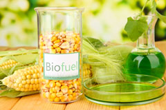 Bury St Edmunds biofuel availability